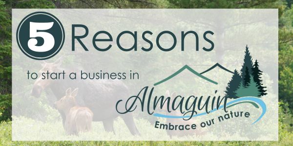 5 reasons why you should start a business in Almaguin