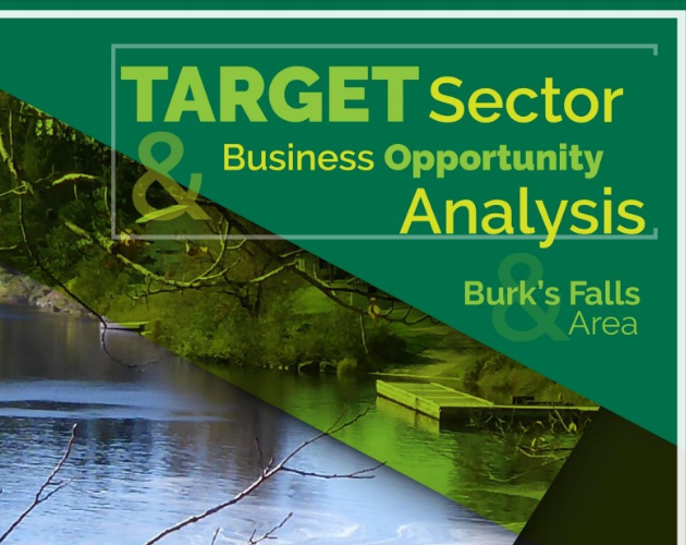 Target Sector and Business Opportunity Analysis