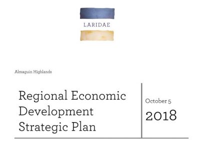Regional Economic Development Strategic Plan